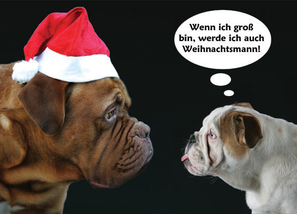 Frohe Weihnachten